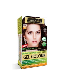 INDUS VALLEY Damage Free Natural Gel Hair Colour for Women | Ammonia & PPD Free Organic Hair Colour with 100% Grey Coverage, Long Lasting Conditioning Hair Color | Copper Mahogany 5.40-220 ml - pzsku/Z675EF52CB8A2AF6FD571Z/45/_/1738306839/67e907f1-1a20-44cb-a0ba-1161639f8276