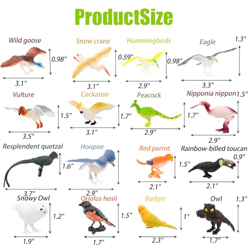 ZENFUN 29 Pieces Realistic Bird Animals Figurines Mini Bird Model Birds Cake Cupcake Topper Parrot Figurine Miniature Birds Animal Figure for Birthday Party Supply - Image 5