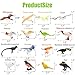 ZENFUN 29 Pieces Realistic Bird Animals Figurines Mini Bird Model Birds Cake Cupcake Topper Parrot Figurine Miniature Birds Animal Figure for Birthday Party Supply - Image 4