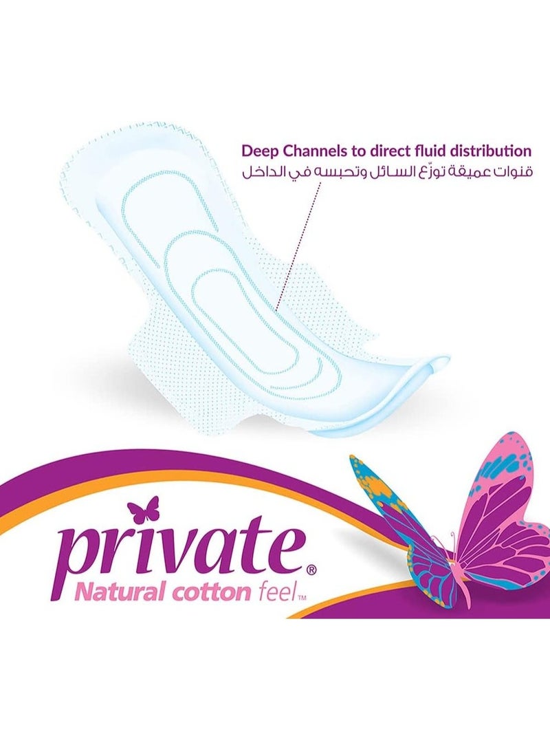 Private 30 Pcs Normal with Wings Feminine Pads - Image 3