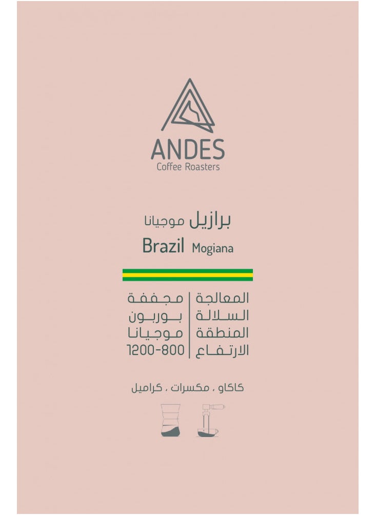 ANDES COFFEE ROASTERS Mogiana Brazil Coffee by Andes Roastery 250g – Whole Beans with Cocoa, Nut & Caramel Notes + Coffee Measuring Spoon 