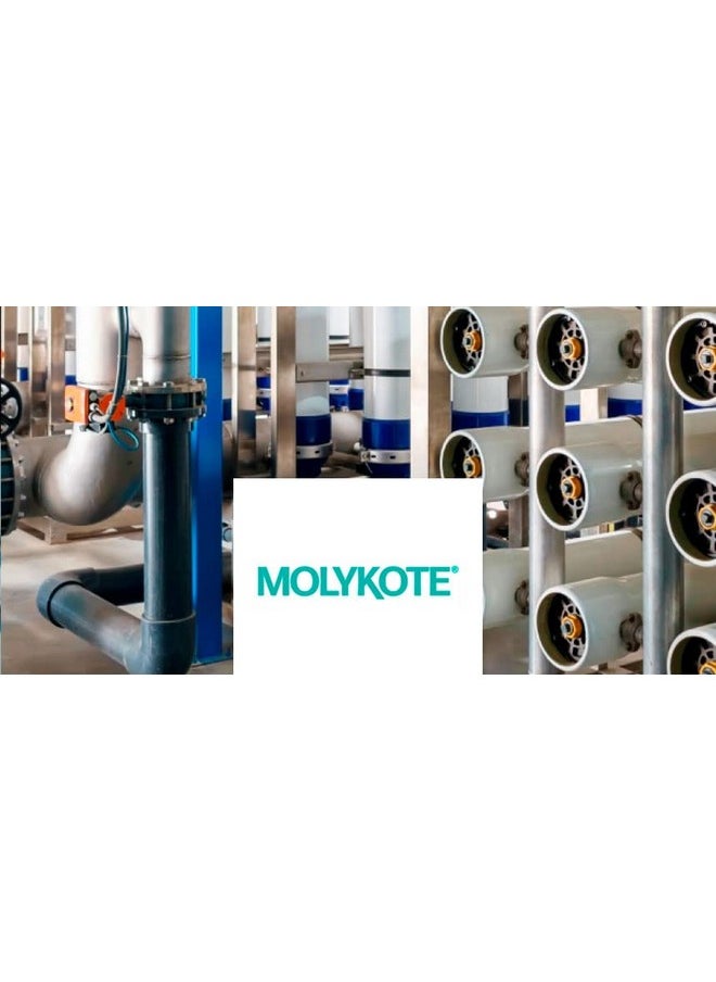 MOLYKOTE Molykote(R) 111, 1 Kg  - Image 3