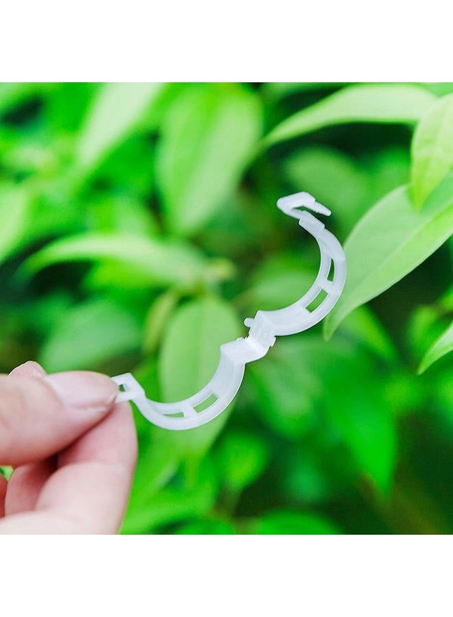 Acronde 200PCS Plant Support Clips, Tomato Clip, Crop Clip, Vine Fixing Clips for Fixation of Tomato, Sweet Pepper, Eggplant, and Fruit Vegetables - Image 4