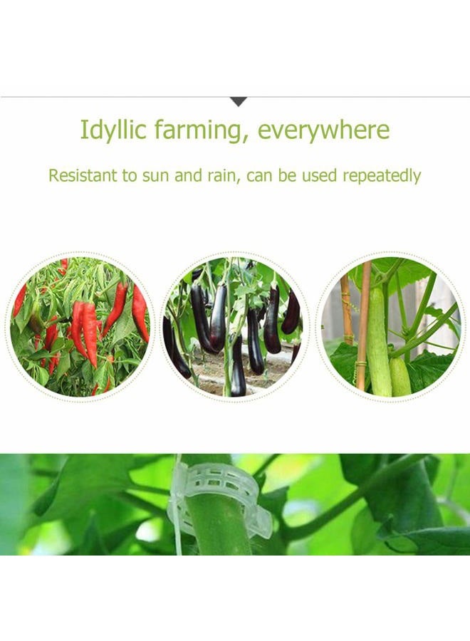 Acronde 200PCS Plant Support Clips, Tomato Clip, Crop Clip, Vine Fixing Clips for Fixation of Tomato, Sweet Pepper, Eggplant, and Fruit Vegetables - Image 5