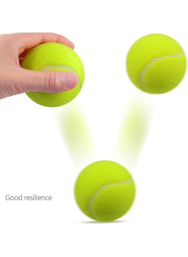 Biella 3Pcs Tennis Balls - Training Ball for Dogs - Super Bounce for Begginer Cricket Training Practice - Image 2