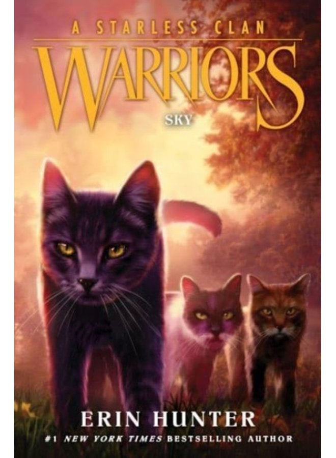 Warriors A Starless Clan 2 Sky 2 - Paperback