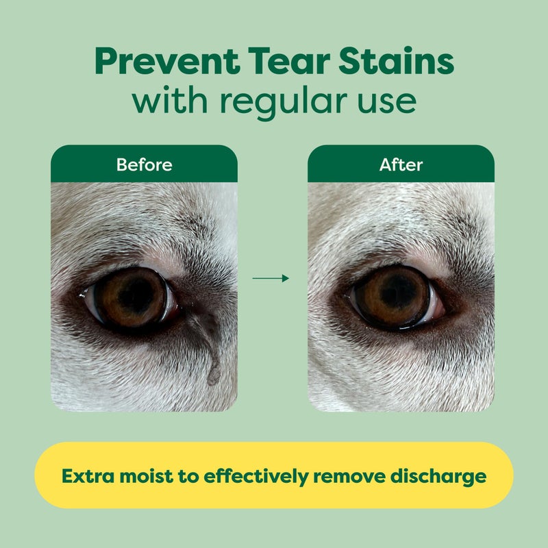 Earth Rated Pet Eye Wipes, Hypoallergenic Cleaner for Dogs & Cats Eyes to Remove Dirt & Discharge, Fragrance Free, 70 Count - Image 3