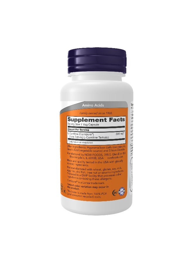 Now L Carnitine Fitness Support 500mg Veg Capsules 60'S