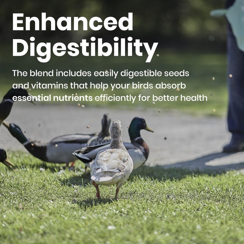 BRANDSFINITY Premium Bird Food For Wild Birds (1kg) - Image 5