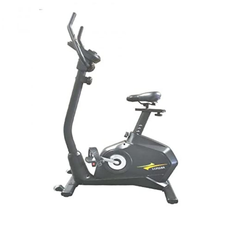 Loggia Magnetic Bike Grey Max Weight 120KW - 1130T - Image 3