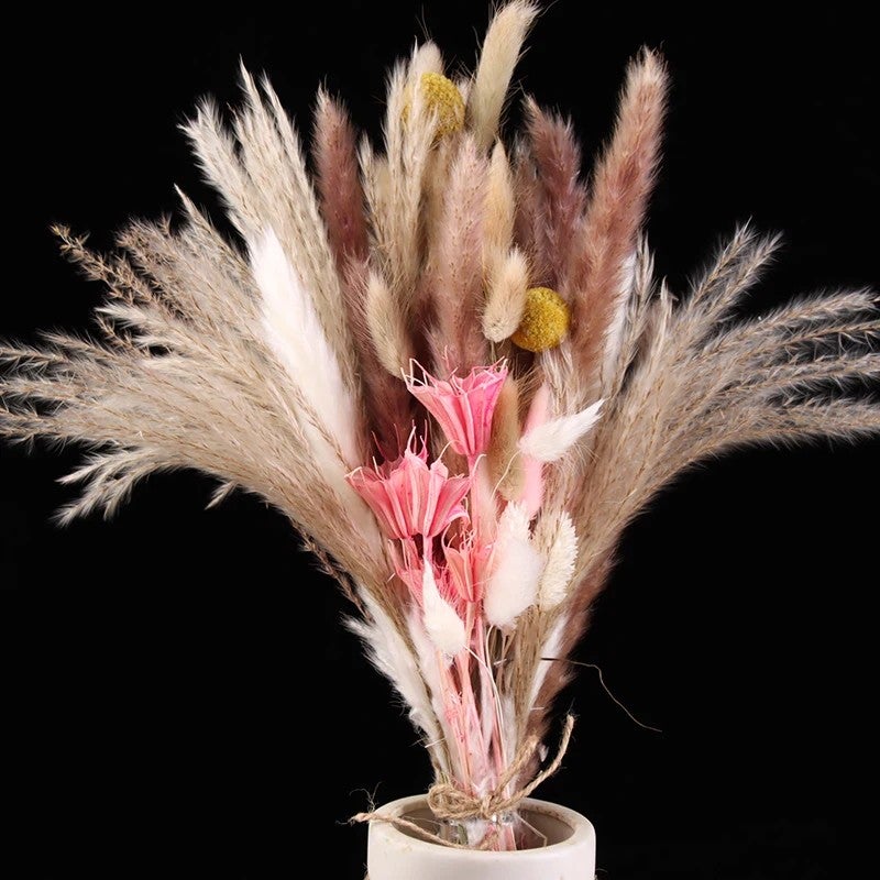 Bluejw Premium Mini Small Wedding Bridal Bouquet – Preserved Dried Flower Arrangement with Natural Dried Plants for Rustic Elegance - Image 5