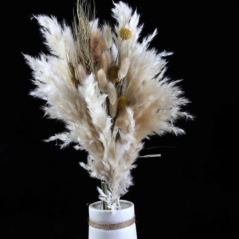 Bluejw Premium Mini Small Wedding Bridal Bouquet – Preserved Dried Flower Arrangement with Natural Dried Plants for Rustic Elegance - Image 1
