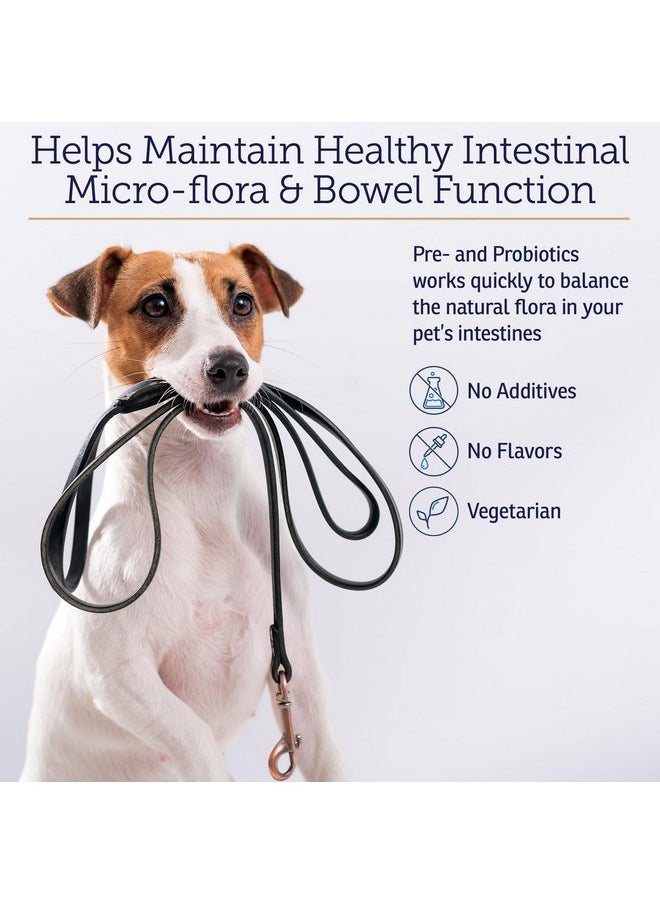 Rx Vitamins Rx Vitamins Rx Biotic Probiotics for Dogs & Cats - Digestive Supplement for Pets - 2.12 oz  - Image 4