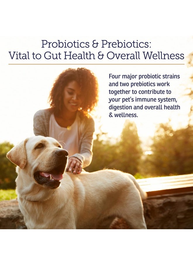 Rx Vitamins Rx Vitamins Rx Biotic Probiotics for Dogs & Cats - Digestive Supplement for Pets - 2.12 oz  - Image 2
