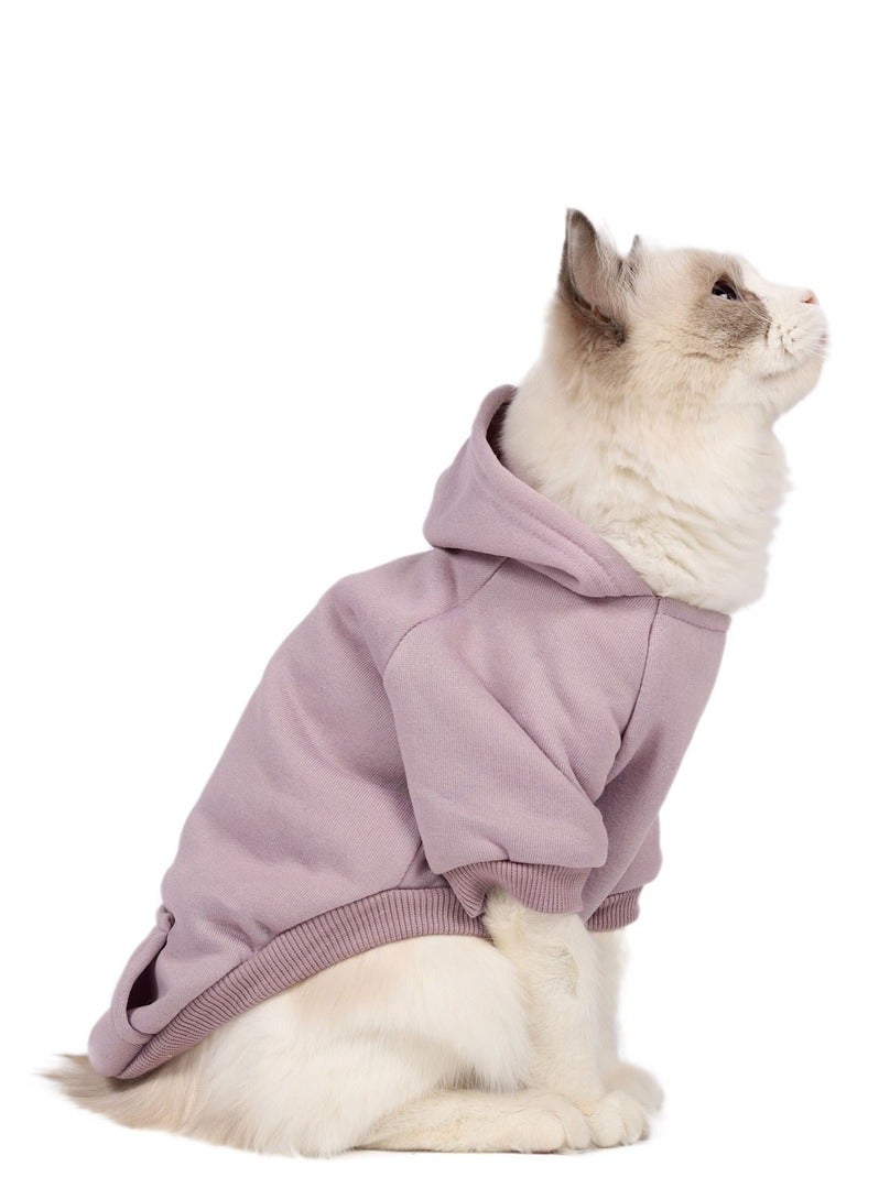 Loquat Squality Autumn And Winter Clothing Pure Color Hooded Hoodie Purple - Image 1