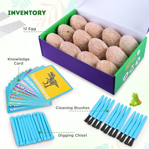 Toyk Dig Up Dinosaur Fossil Eggs Break Open 12 Unique Eggs and Discover 12 Cute Dinosaurs Easter Digging Toy for 3 4 5 6 7 8 912 Year Old Boys Archaeology Science STEM Gift - Image 5