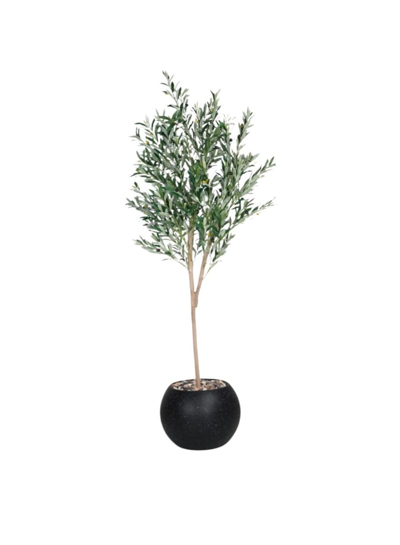 Al-Rawasem House A fruitful olive tree with a large, attractively designed black pot. Make your home more elegant. 150 cm - Image 2