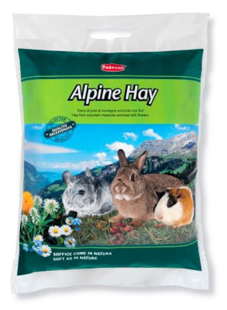 Padovan Alpine Hay Complementary Feed For Small Animals 700G - Image 1
