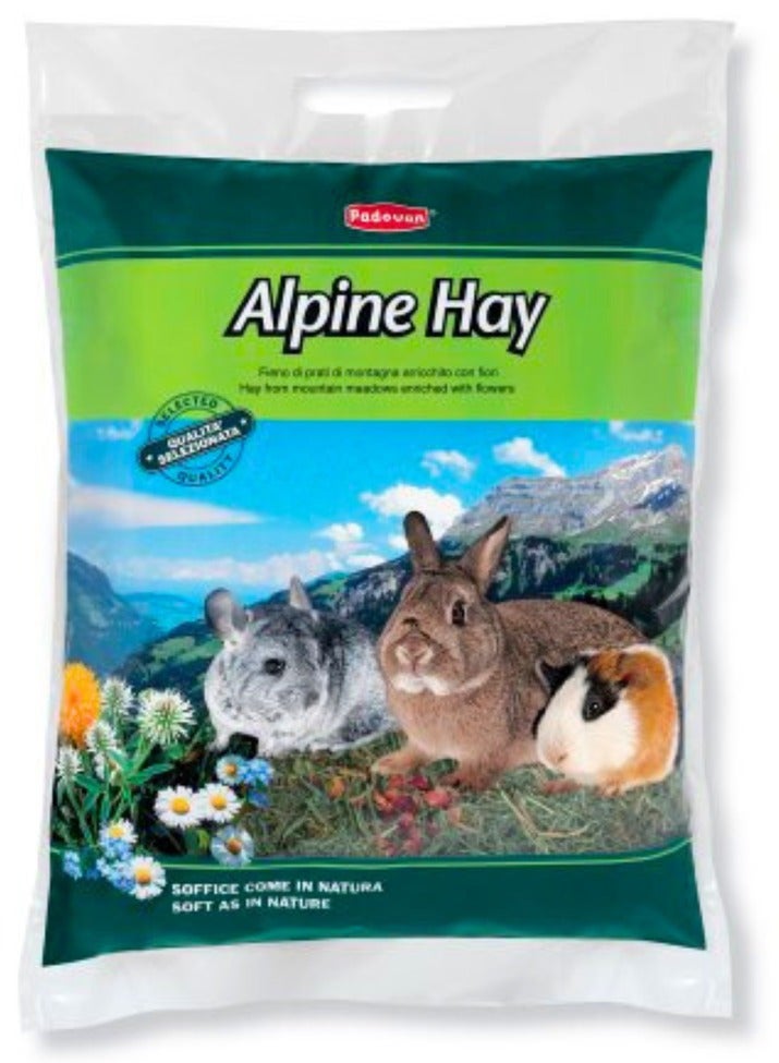 Padovan Alpine Hay Complementary Feed For Small Animals 700G - Image 2