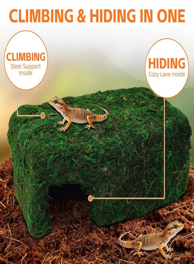 Hollima Small Green Reptiles Cave Hideout, Lizard Moss Hide with Safe Shelter, Handmade Snake Cave Hideout Hut for Themed Terrarium Ideal for Gecko Hamster Snake Rest & Hide - Image 4