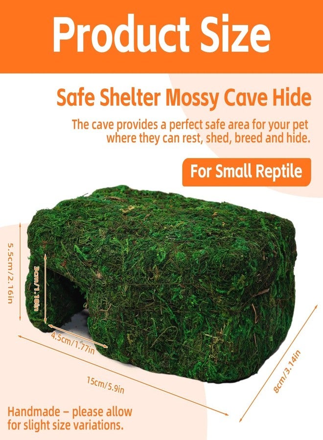 Hollima Small Green Reptiles Cave Hideout, Lizard Moss Hide with Safe Shelter, Handmade Snake Cave Hideout Hut for Themed Terrarium Ideal for Gecko Hamster Snake Rest & Hide - Image 2