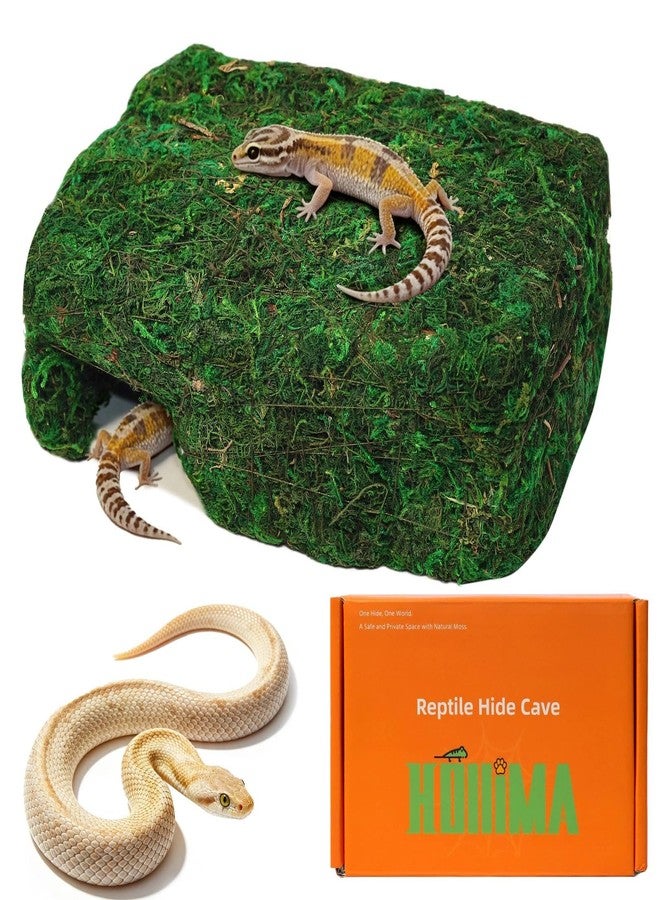 Hollima Small Green Reptiles Cave Hideout, Lizard Moss Hide with Safe Shelter, Handmade Snake Cave Hideout Hut for Themed Terrarium Ideal for Gecko Hamster Snake Rest & Hide - Image 1