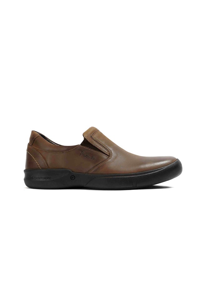PRONTO Hazels  - Image 1