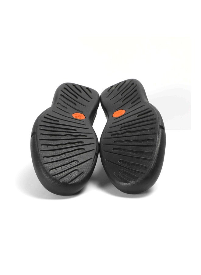 PRONTO Hazels  - Image 4