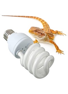 Y&D Reptile Light Fixture UVB Bulb for Desert Reptiles Bearded Dragon Compact Fluorescent Terrarium Lamp white light  - Image 1