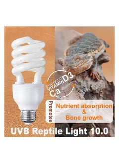 Y&D Reptile Light Fixture UVB Bulb for Desert Reptiles Bearded Dragon Compact Fluorescent Terrarium Lamp white light  - Image 2