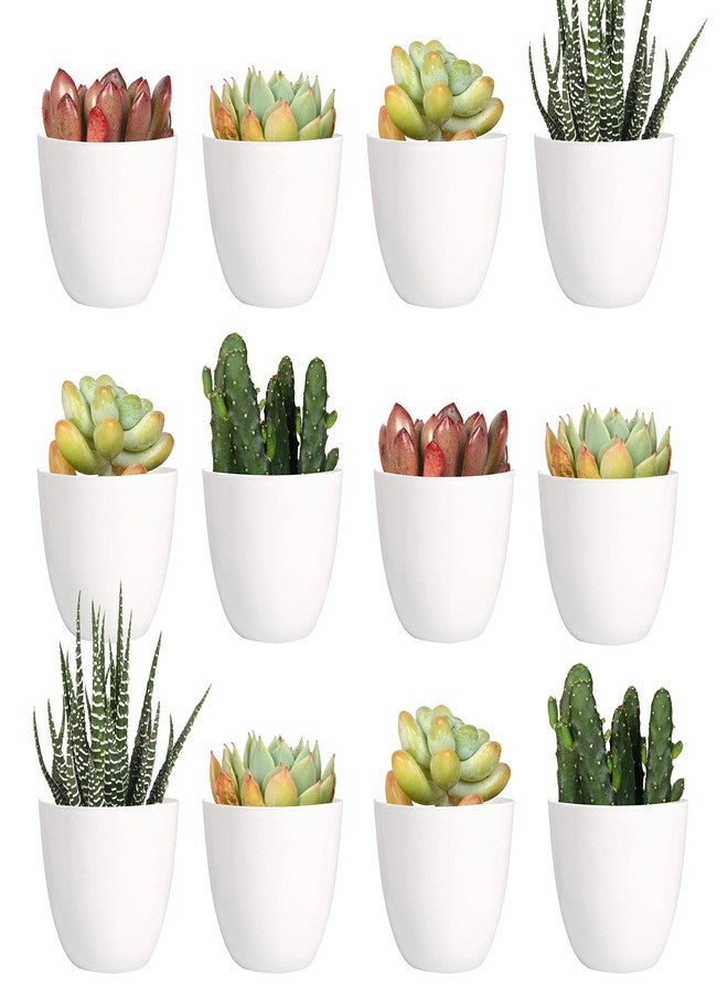 Youngever 24 Pack 5CM Mini Plastic Planters, Indoor Flower Plant Pots, White Gardening Pot with Drainage - NO Plant Included (Modern) - Image 1