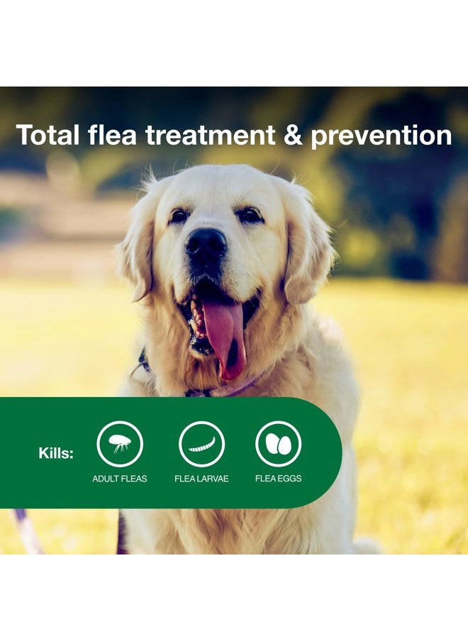 Advantage II Large Dog Vet-Recommended Flea Treatment & Prevention | Dogs 21-55 lbs. | 4-Month Supply  - Image 4