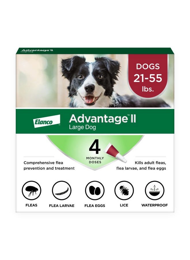 Advantage II Large Dog Vet-Recommended Flea Treatment & Prevention | Dogs 21-55 lbs. | 4-Month Supply  - Image 1