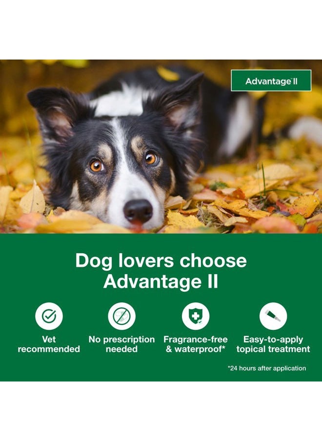 Advantage II Large Dog Vet-Recommended Flea Treatment & Prevention | Dogs 21-55 lbs. | 4-Month Supply  - Image 3
