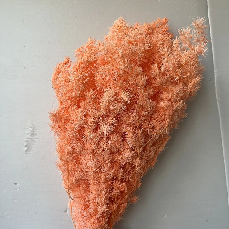 Bluejw Manufacturers Penglai Pine Dried Flower Bouquet - New Color Dried Plants for DIY Home Decor - Image 3