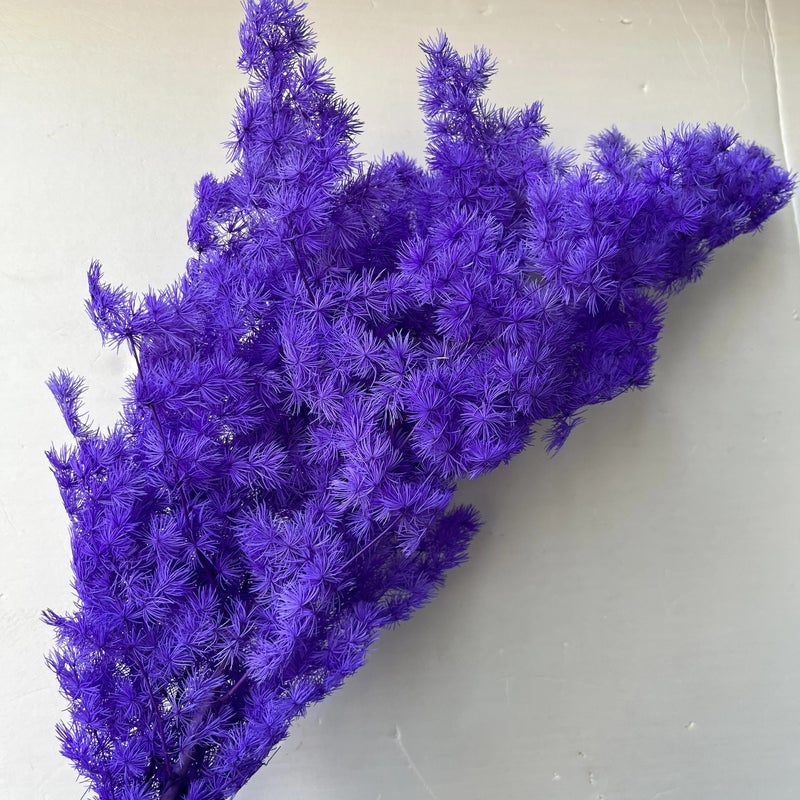 Bluejw Manufacturers Penglai Pine Dried Flower Bouquet - New Color Dried Plants for DIY Home Decor - Image 5