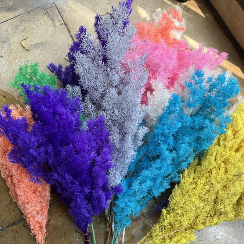 Bluejw Manufacturers Penglai Pine Dried Flower Bouquet - New Color Dried Plants for DIY Home Decor - Image 2