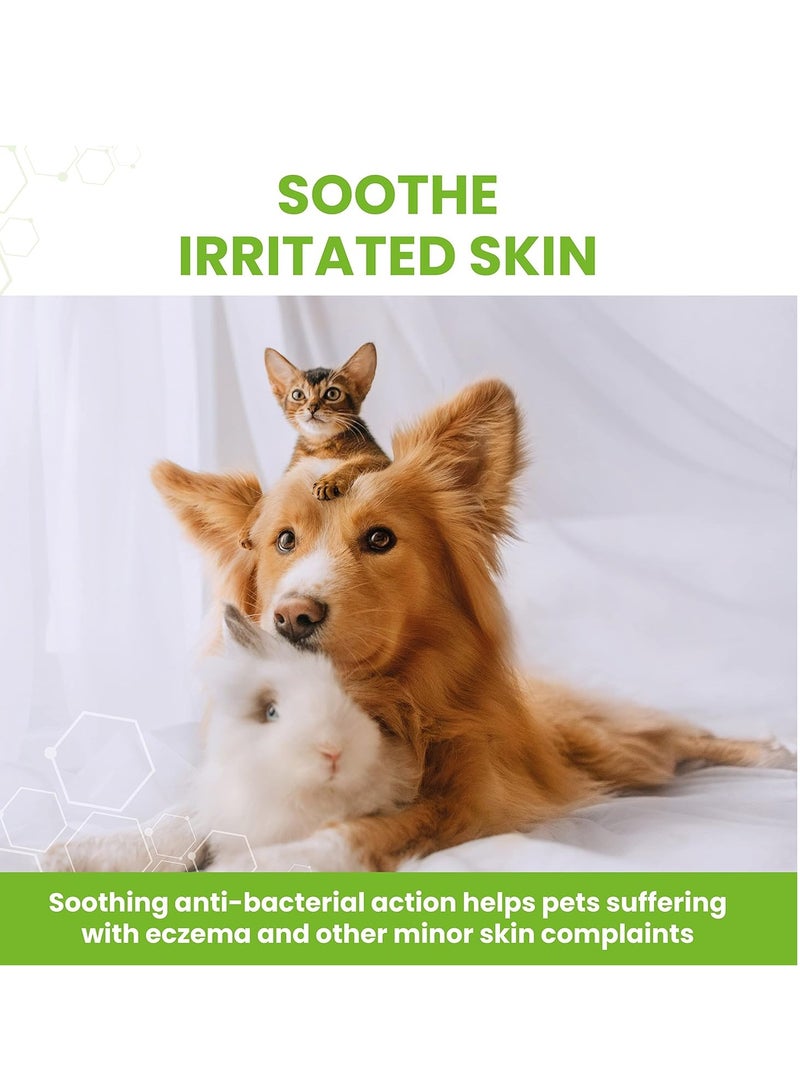 Veterinary Antibacterial Powder for Dogs Cats and Small Pets Gently Soothes Dries and Protects the Skin From Harmful Bacteria 40g - Image 5
