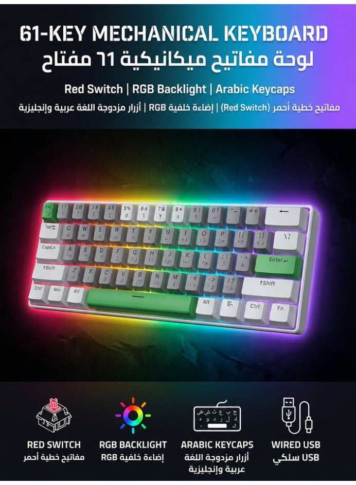 AOR Esports 61-Key Arabic Bilingual Keyboard with 26-Key Anti-Ghosting RGB Mechanical Gaming Keyboard - Image 1