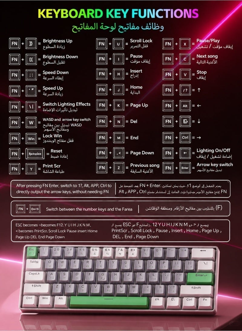 AOR Esports 61-Key Arabic Bilingual Keyboard with 26-Key Anti-Ghosting RGB Mechanical Gaming Keyboard - Image 4