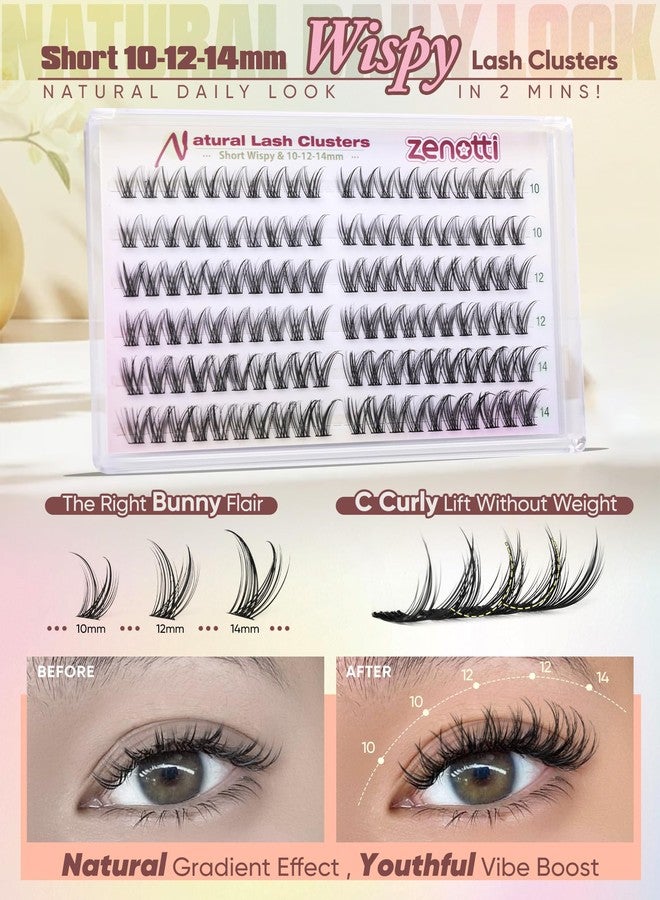 zenotti Natural Clusters Lashes Wispy Eyelash Clusters Short Manga Cluster Eyelash Extensions 10-12-14MM C-Curly Fairy Individual Lashes Cluster Bunny Lash Extensions by zenotti - Image 3