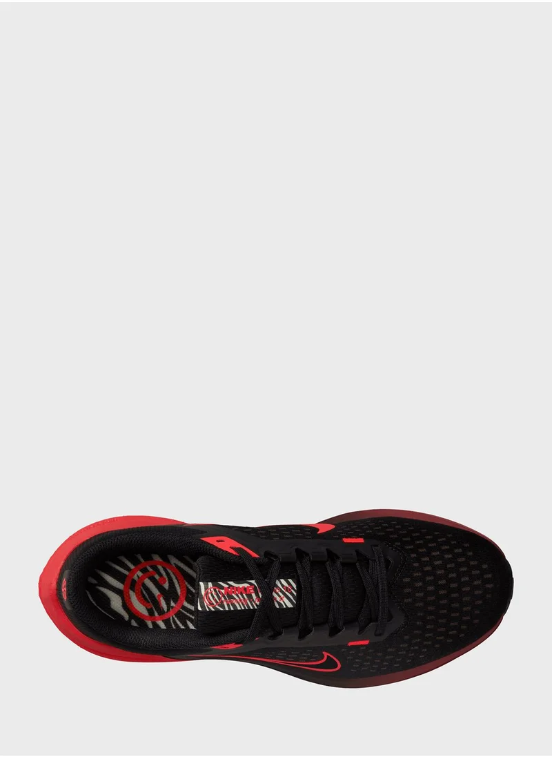Nike Air Winflo 10