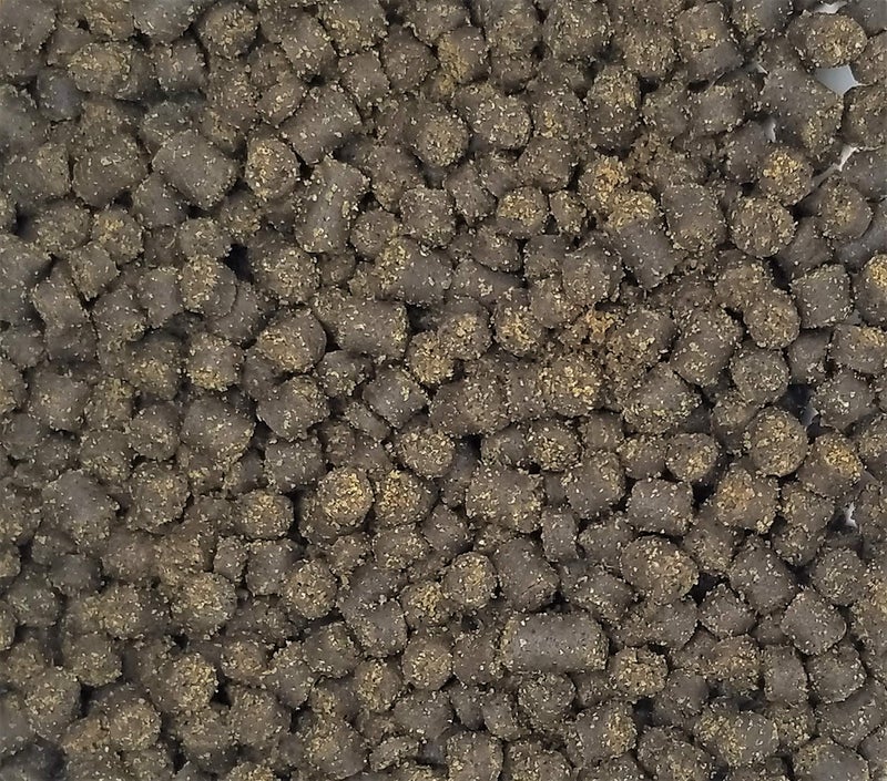 Invert Aquatics Frog Bites - Moist Pellet Sinking Diet for Frogs & Small Amphibians (1.5 oz (42.5g)) - Image 2