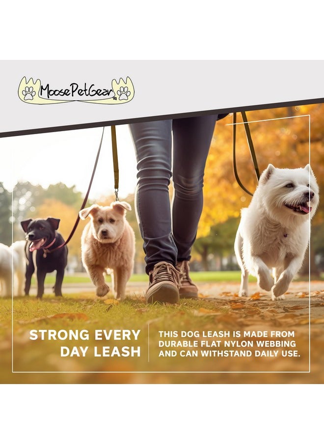Moose Pet Wear Moose Pet Wear Standard Dog Leash - Colored Heavy Duty Pet Leashes, 1 Inch x 6 Feet, Tan  - Image 2