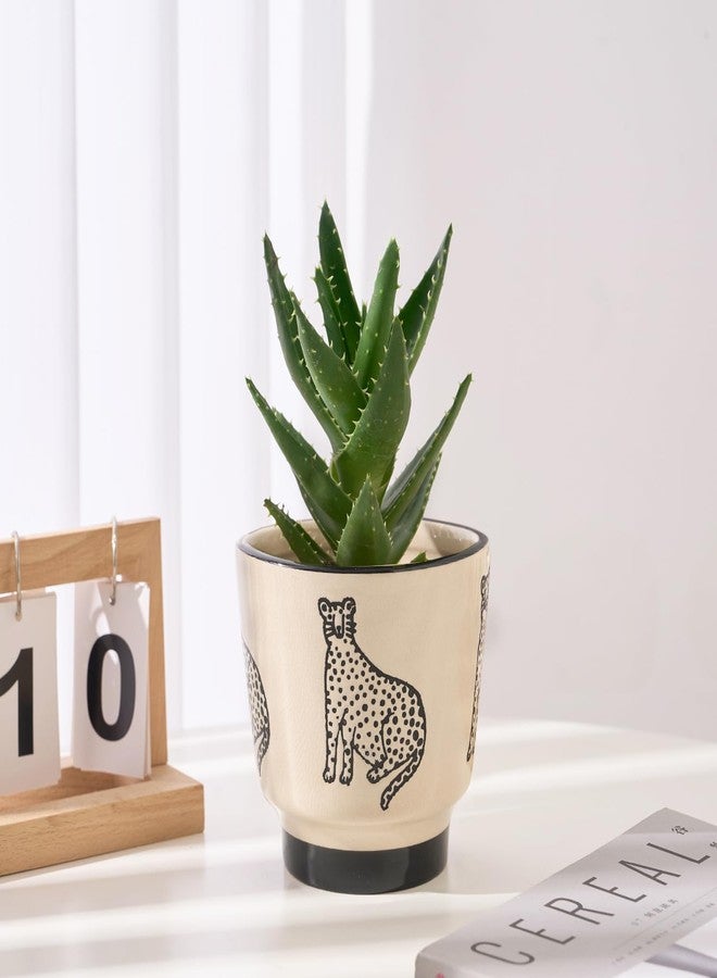 STHIE Indoor Ceramic Plant Pots with Drainage Holes 5 Inch Cute Succulent Flower Pots Small Orchid Planter Pots for Indoor Plants Garden Pots, Panther - Image 4