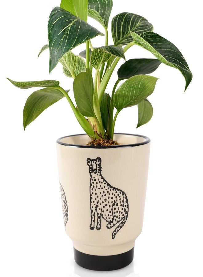 STHIE Indoor Ceramic Plant Pots with Drainage Holes 5 Inch Cute Succulent Flower Pots Small Orchid Planter Pots for Indoor Plants Garden Pots, Panther - Image 1