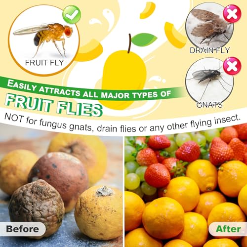 Qualirey 6 Pack Fruit Fly Trap Refill Liquid, 0.68oz Per Bottle Liquid Fruit Fly Traps for Indoors, Non Toxic Bait Safe Near Pets, Food and Kids, Lure Refill for Home Kitchen - Image 4