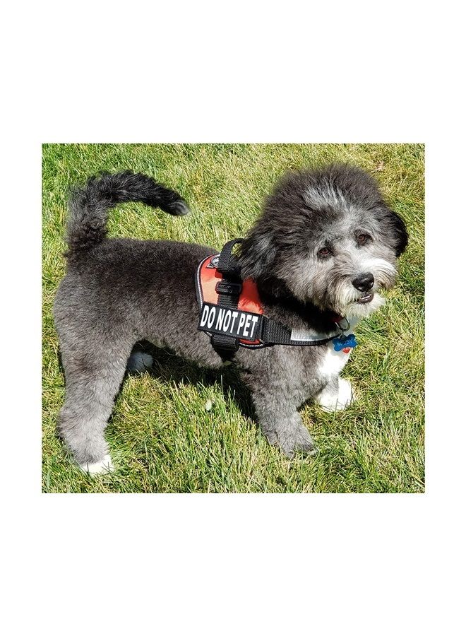 Doggie Stylz DO NOT PET Dog Vest Harness with Removable Patches and Reflective Trim. Comes with 2 DO NOT PET Reflective Removable Patches. Please Measure Dogs Girth Before Purchase