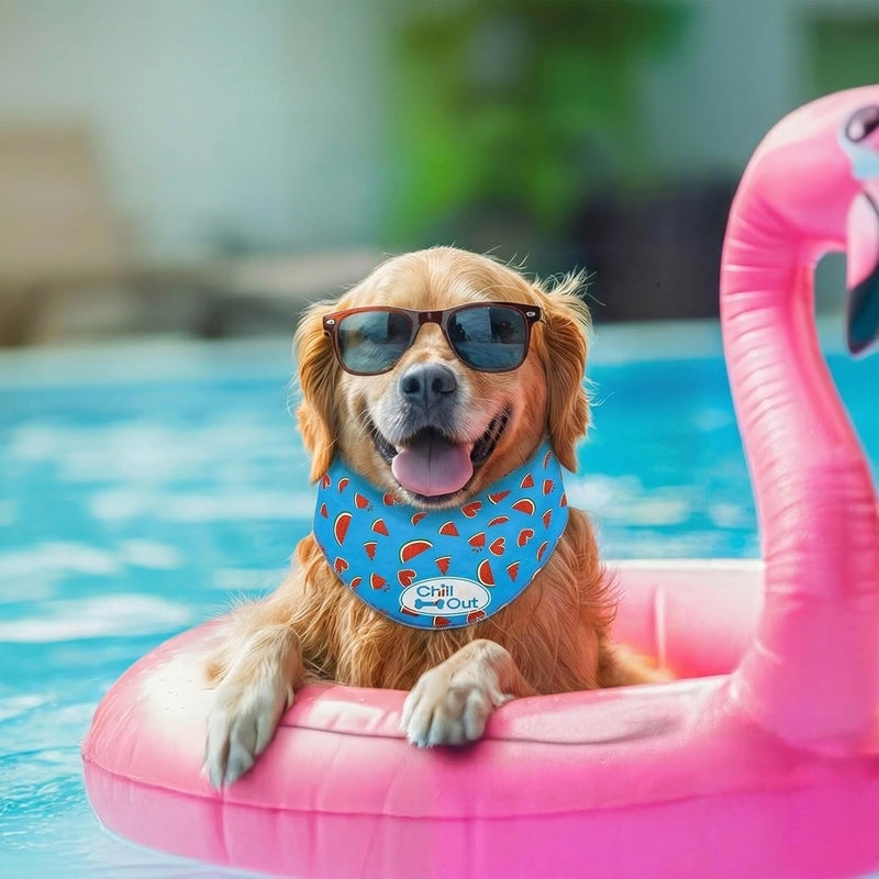 أوول فور بوز ALL FOR PAWS وشاح تبريد للكلاب، طوق تبريد للكلاب ولفافة للرقبة، وشاح تبريد مثلج للكلاب الكبيرة، طوق تبريد أزرق (XL، محيط الرقبة 20.8-24.4 بوصة) - Image 3