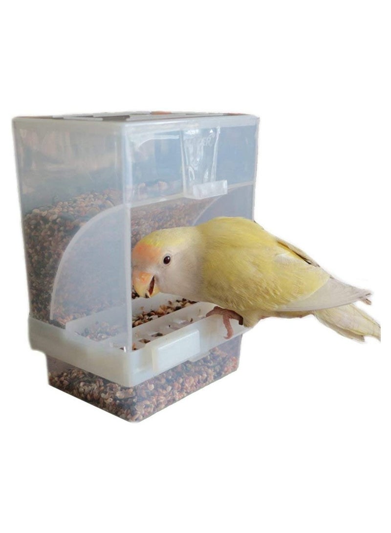 أكالة أوتوماتيكية للعصافير الزينة - Image 2